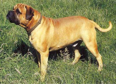 ����������. �������� '��������'